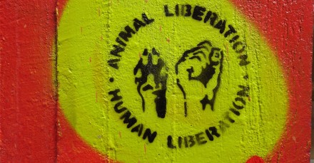 animal liberation human liberation - The Sparrow Project